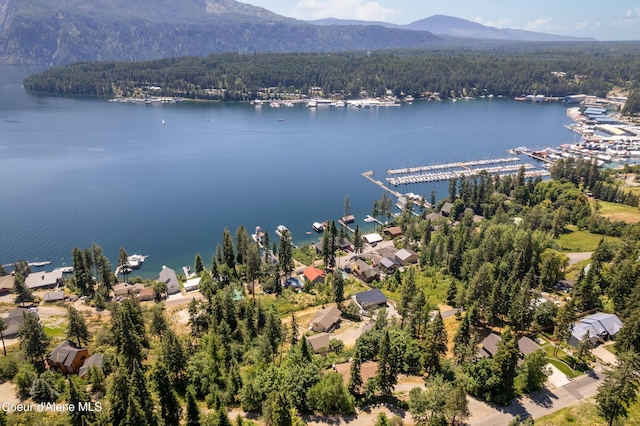 17544 E Arapaho Rd, Bayview, ID 83803 - bird's eye view of a water and mountain view