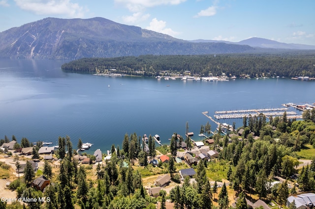 17544 E Arapaho Rd, Bayview, ID 83803 - bird's eye view of a water and mountain view and a forest