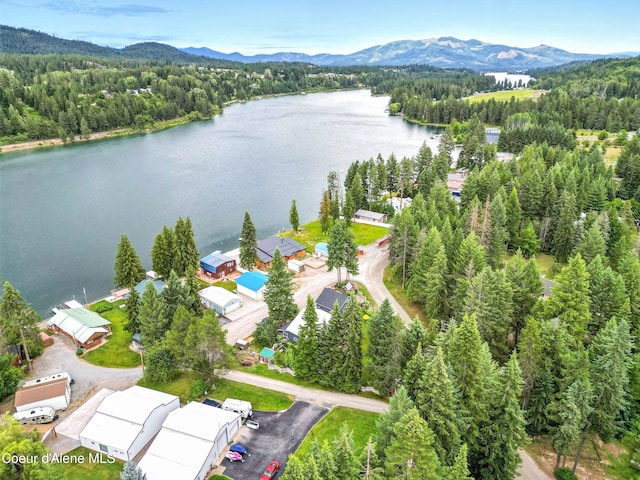 80 Half Cir, Priest River, ID 83856 - bird's eye view of a heavily wooded area and a water and mountain view