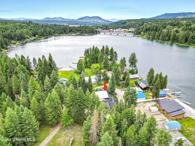 80 Half Cir, Priest River, ID 83856 - bird's eye view of a water and mountain view