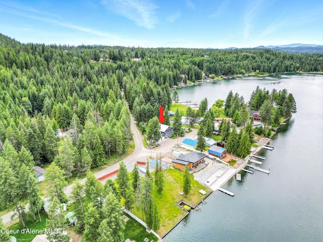 80 Half Cir, Priest River, ID 83856 - drone / aerial view of a forest and a large body of water