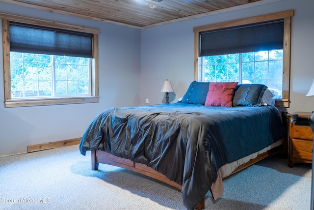 80 Half Cir, Priest River, ID 83856 - bedroom featuring carpet and wooden ceiling