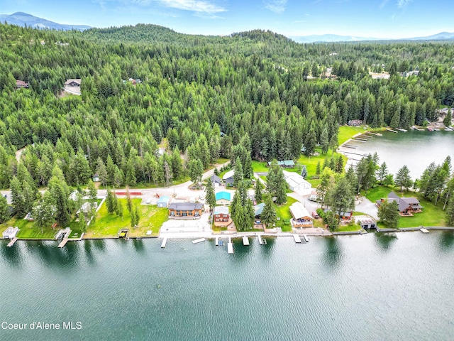 80 Half Cir, Priest River, ID 83856 - bird's eye view of a heavily wooded area and a water and mountain view