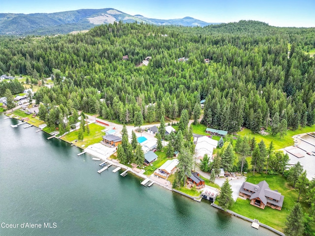80 Half Cir, Priest River, ID 83856 - aerial view of a forest and a water and mountain view
