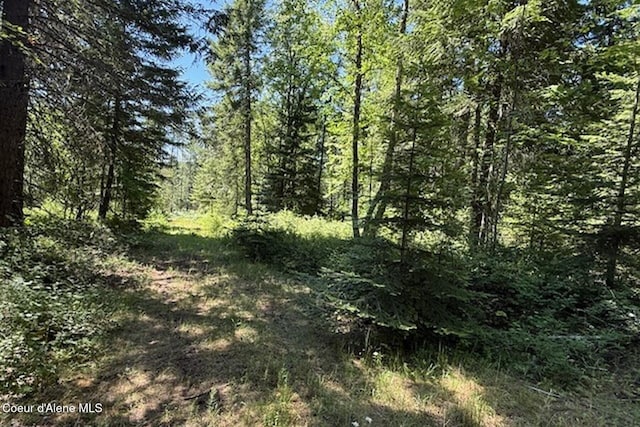 NNA Flamingo Rd, Sandpoint, ID 83864 - photo 1