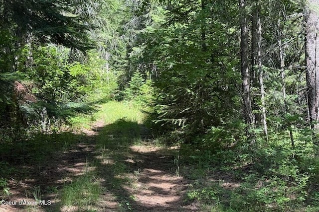 NNA Flamingo Rd, Sandpoint, ID 83864 - photo 2