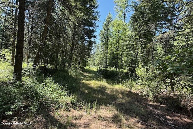 NNA Flamingo Rd, Sandpoint, ID 83864 - photo 3