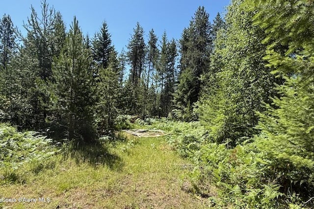 NNA Flamingo Rd, Sandpoint, ID 83864 - photo 4