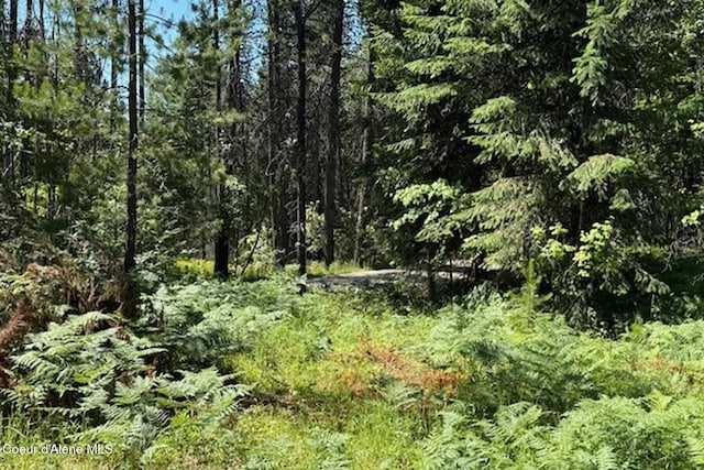 NNA Flamingo Rd, Sandpoint, ID 83864 - photo 5