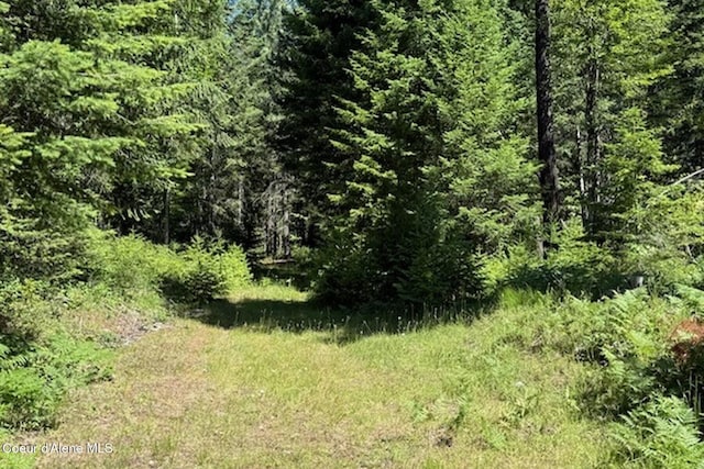 NNA Flamingo Rd, Sandpoint, ID 83864 - photo 6