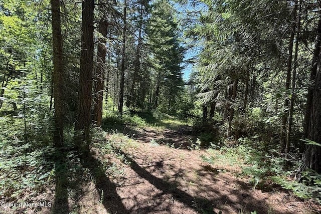NNA Flamingo Rd, Sandpoint, ID 83864 - photo 8