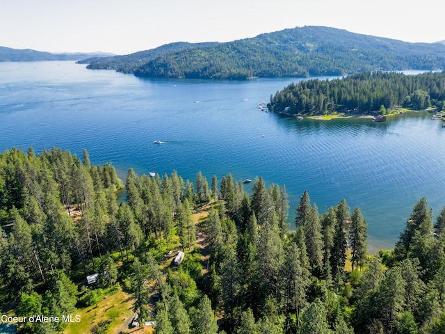 2000 W Albins Ln, Coeur Dalene, ID 83814 - photo 10