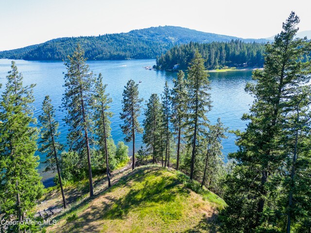 2000 W Albins Ln, Coeur Dalene, ID 83814 - photo 12