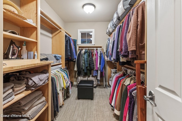 12155 N Yearling Cir, Hayden, ID 83835 - spacious closet featuring carpet floors