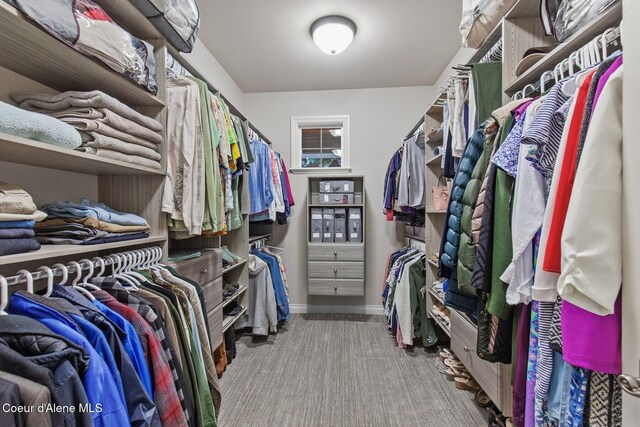 12155 N Yearling Cir, Hayden, ID 83835 - spacious closet with carpet flooring