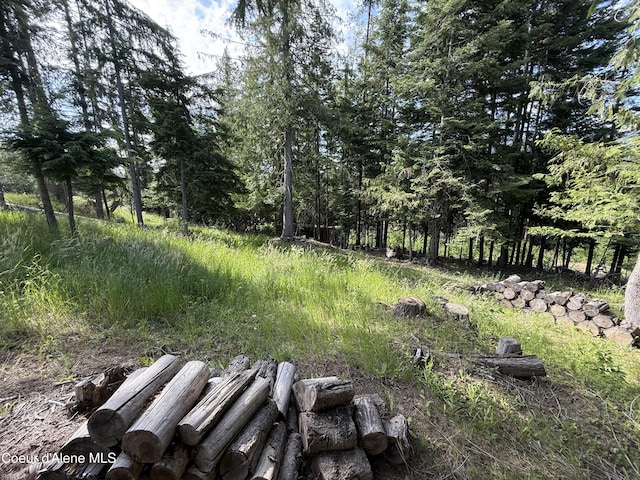 NKA S Fern Creek Rd, Cataldo, ID 83810 - photo 18