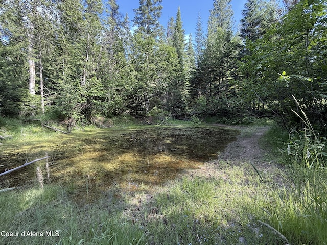 NKA S Fern Creek Rd, Cataldo, ID 83810 - photo 19