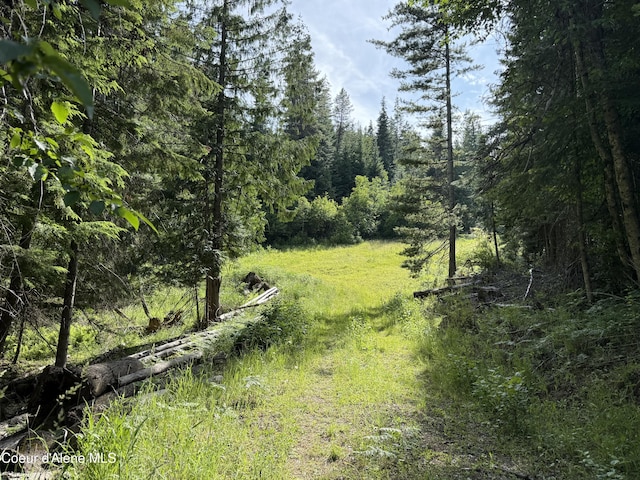NKA S Fern Creek Rd, Cataldo, ID 83810 - photo 7