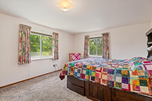 6665 W Wapiti Trl, Coeur Dalene, ID 83814 - photo 11