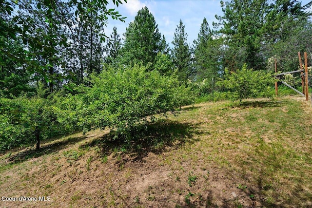 6665 W Wapiti Trl, Coeur Dalene, ID 83814 - photo 35