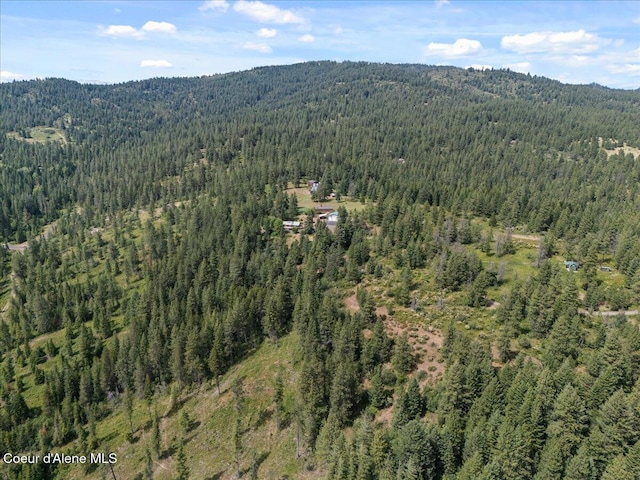 6665 W Wapiti Trl, Coeur Dalene, ID 83814 - photo 48