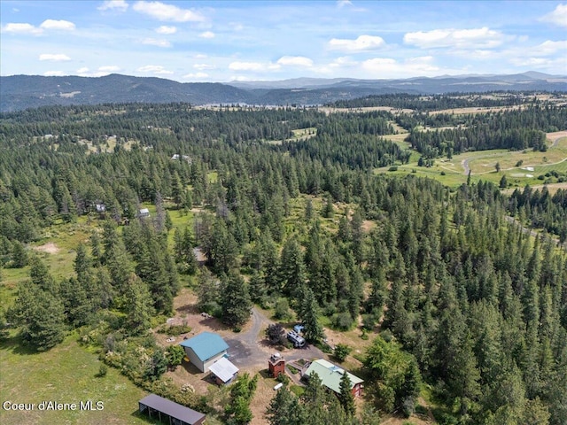 6665 W Wapiti Trl, Coeur Dalene, ID 83814 - photo 49
