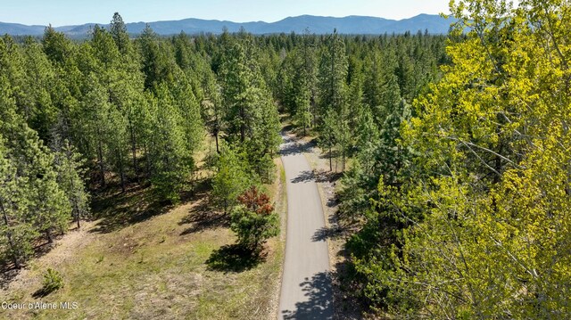NKA E Rookery Rd, Hayden, ID 83835 - photo 4
