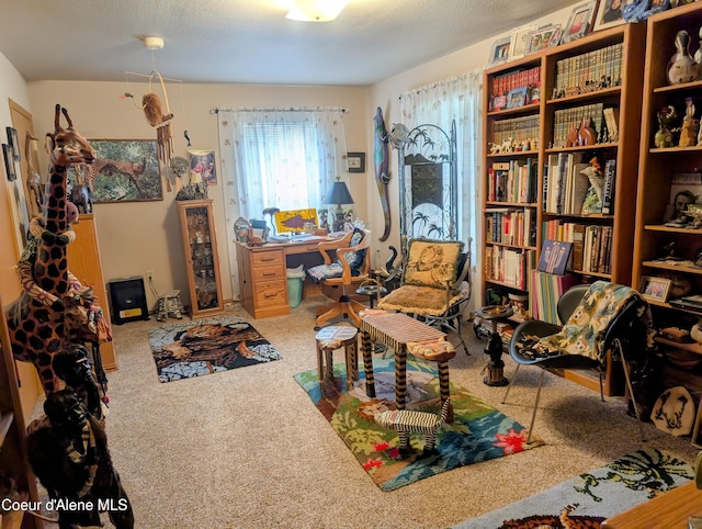 6702 Kelso Lake Rd, Athol, ID 83801 - sitting room with carpet