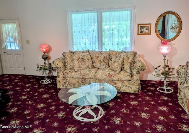 6702 Kelso Lake Rd, Athol, ID 83801 - view of carpeted living room