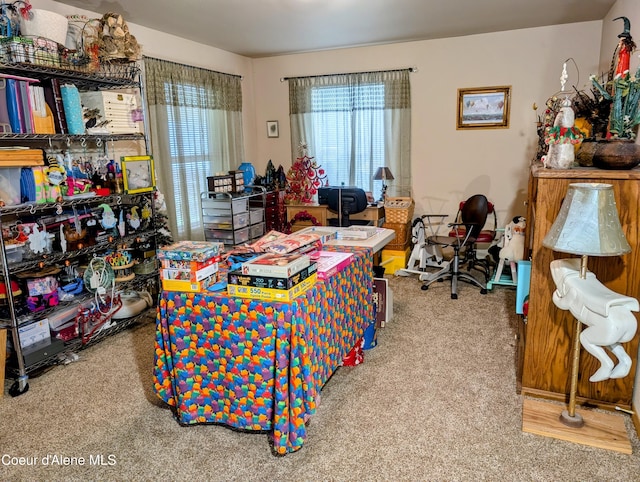 6702 Kelso Lake Rd, Athol, ID 83801 - office with carpet