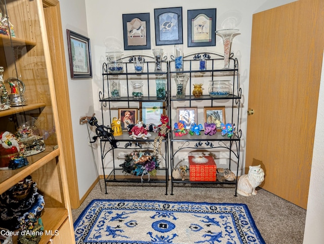 6702 Kelso Lake Rd, Athol, ID 83801 - detailed view of carpet floors