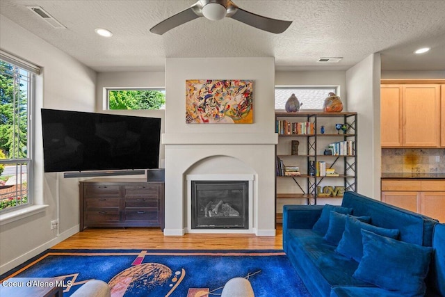 1232 W Grove Way, Coeur Dalene, ID 83815 - living area featuring a glass covered fireplace, healthy amount of natural light, wood finished floors, ceiling fan, and a textured ceiling