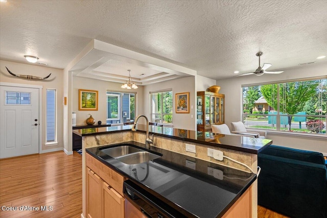 1232 W Grove Way, Coeur Dalene, ID 83815 - kitchen featuring open floor plan, light wood-type flooring, a kitchen island with sink, a textured ceiling, and a tray ceiling