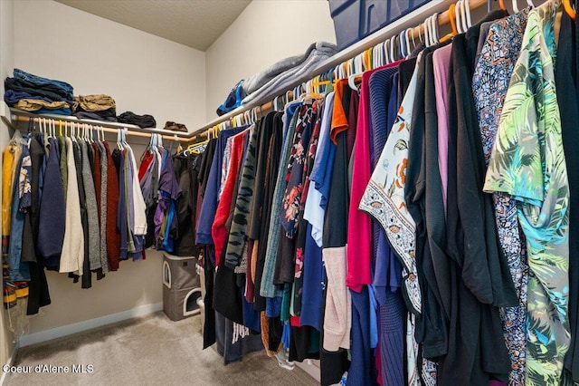 1232 W Grove Way, Coeur Dalene, ID 83815 - walk in closet with carpet flooring