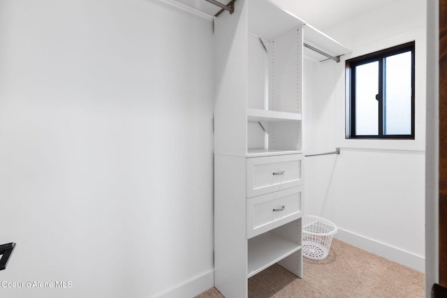 98 Chutes Ln, Sandpoint, ID 83864 - view of spacious closet