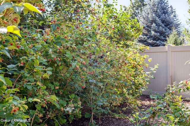 2153 E Thomas Hill Dr, Coeur Dalene, ID 83815 - photo 26
