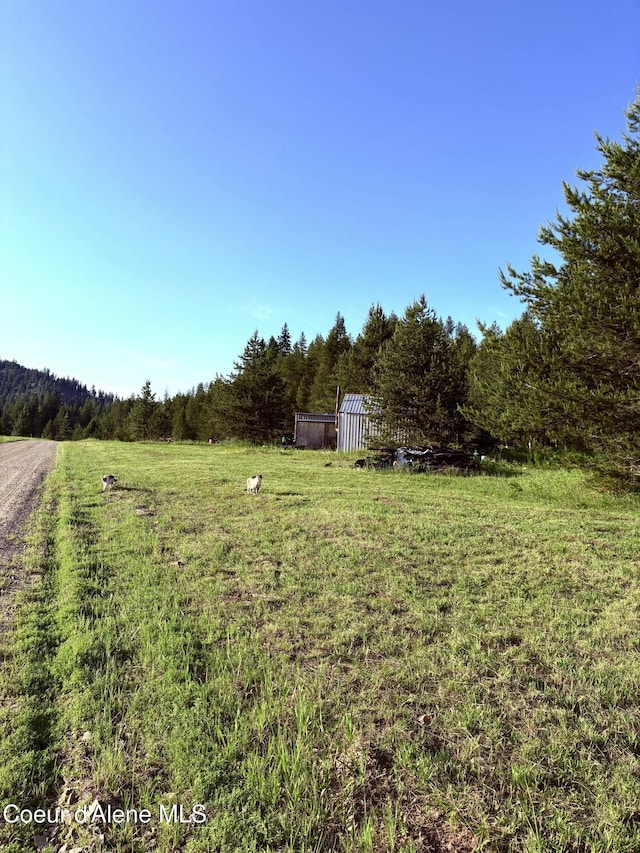 1367 Mud Gulch Rd, Priest River, ID 83856 - photo 4