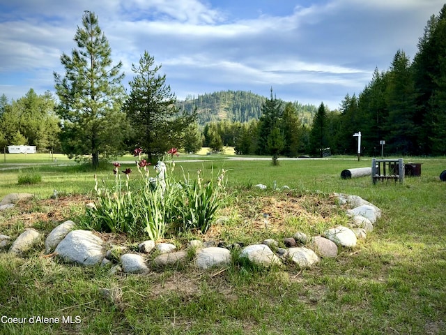 1367 Mud Gulch Rd, Priest River, ID 83856 - photo 3