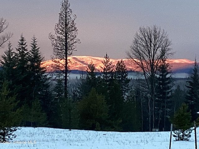 1367 Mud Gulch Rd, Priest River, ID 83856 - photo 1