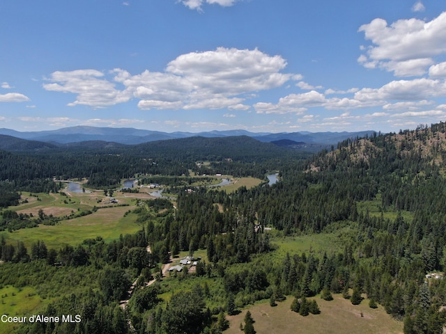 1367 Mud Gulch Rd, Priest River, ID 83856 - photo 10