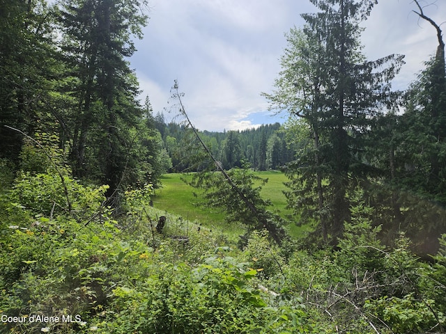 354 Swamp Donkey Trl, Sandpoint, ID 83864 - photo 1
