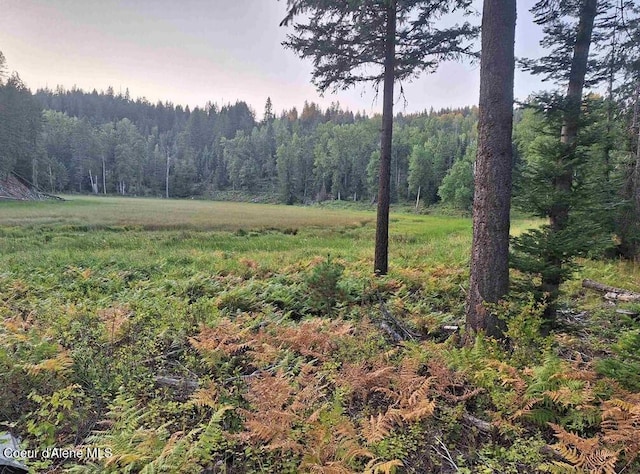 354 Swamp Donkey Trl, Sandpoint, ID 83864 - photo 2
