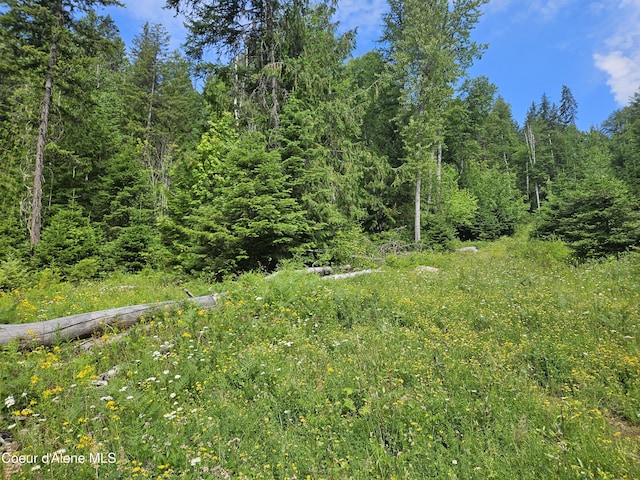 354 Swamp Donkey Trl, Sandpoint, ID 83864 - photo 3