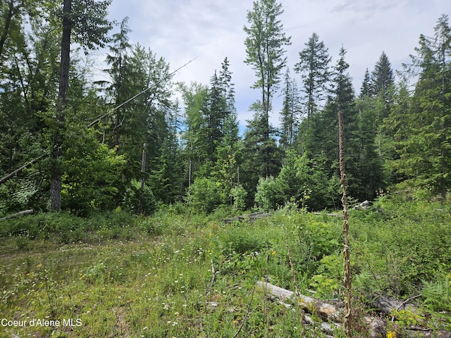 354 Swamp Donkey Trl, Sandpoint, ID 83864 - photo 4