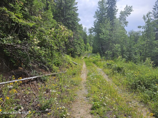 354 Swamp Donkey Trl, Sandpoint, ID 83864 - photo 5