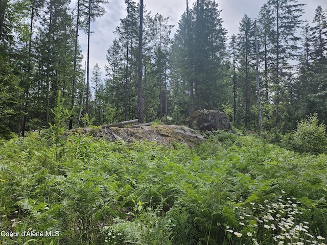 354 Swamp Donkey Trl, Sandpoint, ID 83864 - photo 6