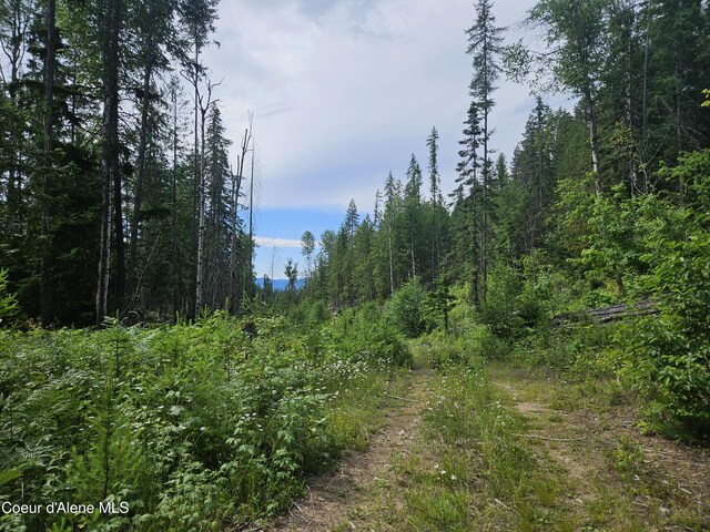 354 Swamp Donkey Trl, Sandpoint, ID 83864 - photo 7