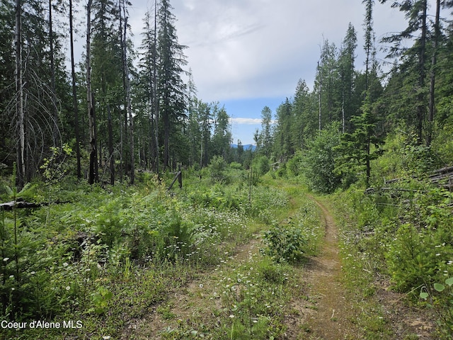 354 Swamp Donkey Trl, Sandpoint, ID 83864 - photo 8