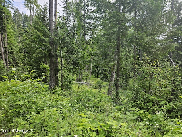 354 Swamp Donkey Trl, Sandpoint, ID 83864 - photo 9