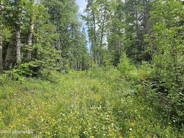 354 Swamp Donkey Trl, Sandpoint, ID 83864 - photo 10
